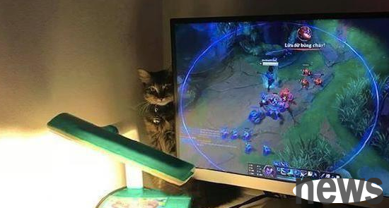 The man felt a chill while playing the game. He turned around and saw the cat but didn t dare to move: What s the look in his eyes?